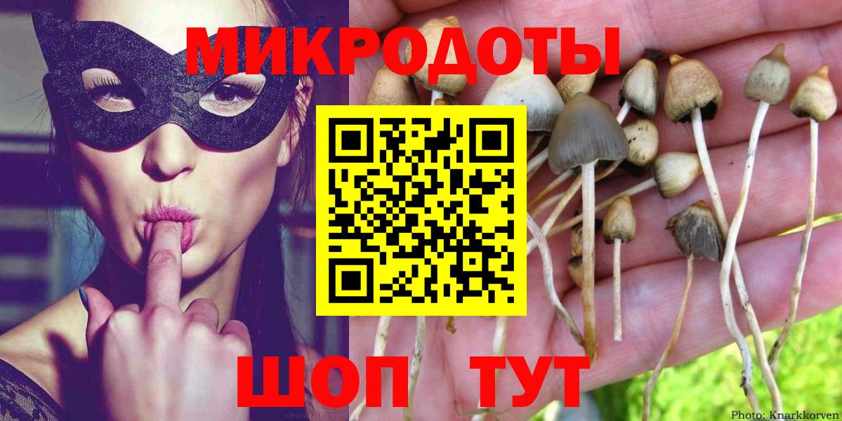 Псилоцибиновые грибы Cubensis Хабаровск